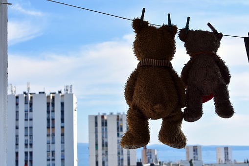 Two Teddy Bears toys hanging over clothesline after washing