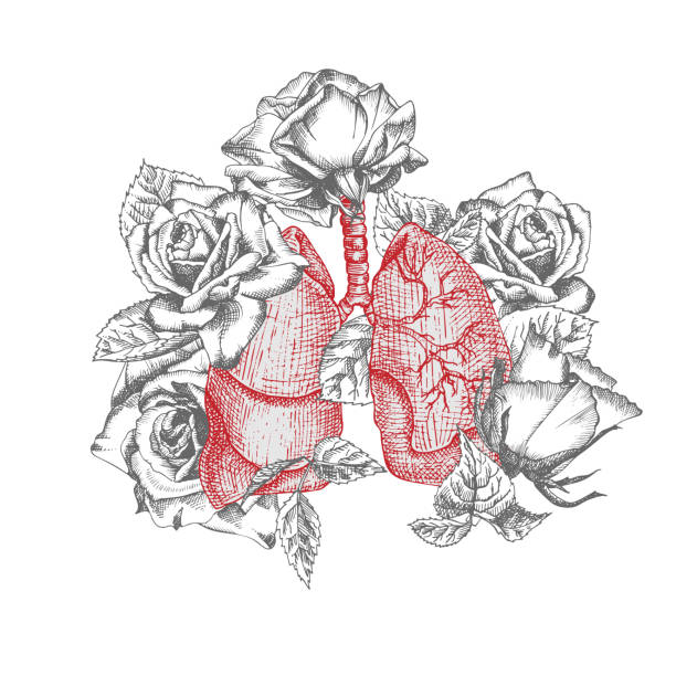lunge mit bouquet rosen realistische handgezeichnete ikone des menschlichen inneren organs und blumenrahmen. gravur kunst. skizzenstil. designkonzept für medizinische projekte nach viralen rehabilitationsplakaten, tattoos - flower anatomy stock-grafiken, -clipart, -cartoons und -symbole