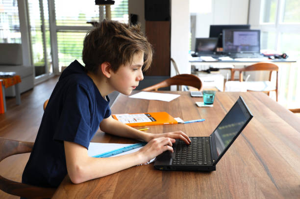 istock Teenager studying at home - homeschooling 1224096436