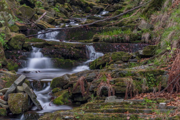 istock Lomna river in Trojanovice village in spring nice morning 1224096656