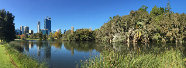 Perth city financial district as viewed from John Oldham Park