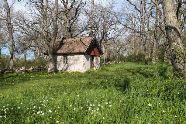 istock Springtime by a sheep shed in a green meadow 1224097796