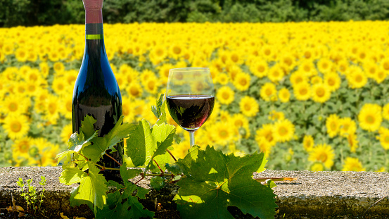 a bottle and glass of red wine with sunflowers field, summer landscape