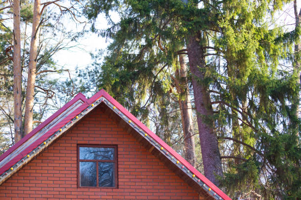 istock Close up of cottage 1224102653