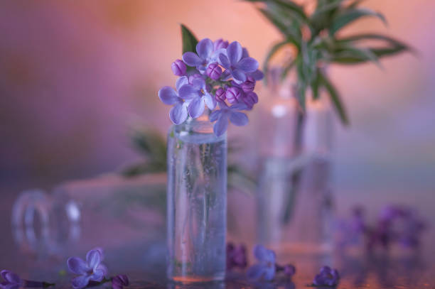 istock Cute little bunch of lilacs.  Still life. 1224105152