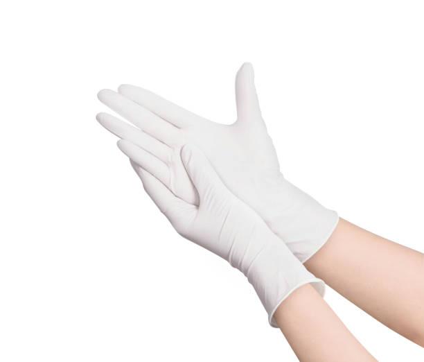 zwei weiße chirurgische medizinische handschuhe isoliert auf weißem hintergrund mit händen. gummihandschuh herstellung, menschliche hand trägt einen latex handschuh. arzt oder krankenschwester mit nitrile-schutzhandschuhen - latex fotos stock-fotos und bilder