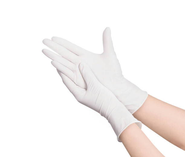 two white surgical medical gloves isolated on white background with hands. rubber glove manufacturing, human hand is wearing a latex glove. doctor or nurse putting on nitrile protective gloves - luva de borracha imagens e fotografias de stock