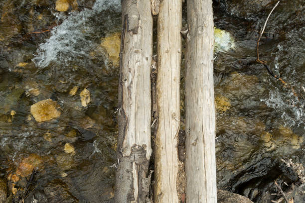 istock Wooden bridge made of logs; wood texture. Abstract background, texture image 1224108967