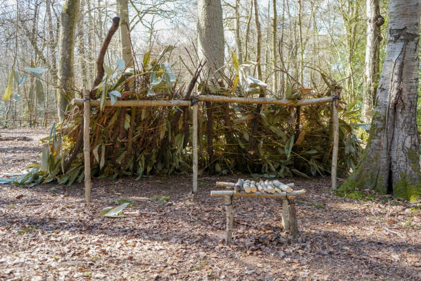 Old stick hut made in woodland