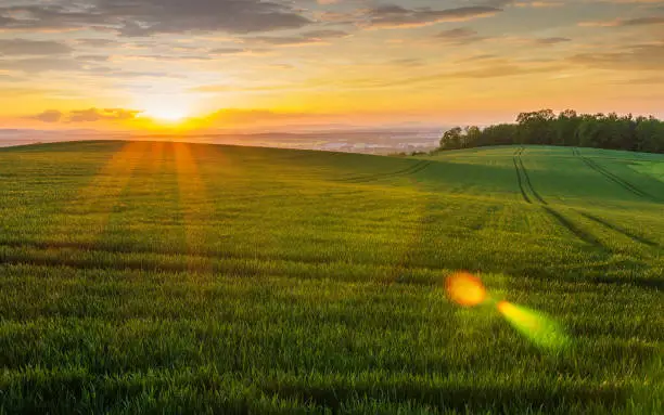 Nice wave green field with trees and city Ceske Budejovice at sunset. Czech republic