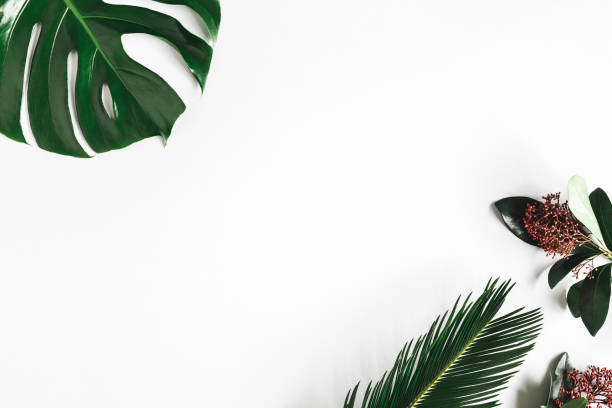 istock Summer composition. Tropical flowers and leaves on white background. Summer concept. Flat lay, top view, copy space 1224119529