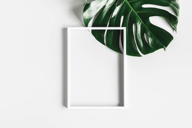 istock Summer composition. Tropical leaf, photo frame on white background. Summer concept. Flat lay, top view, copy space 1224119569