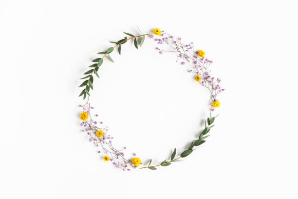 istock Flowers composition. Wreath colorful flowers, eucalyptus leaves on white background. Spring concept. Flat lay, top view, copy space 1224119594