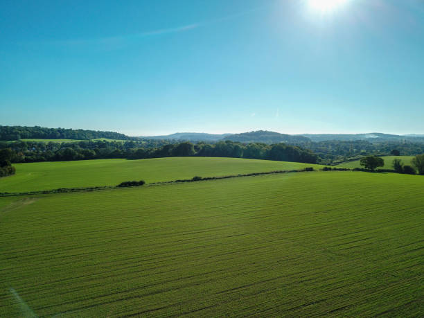 istock Green farm fields and blue sky in the spring 1224119855