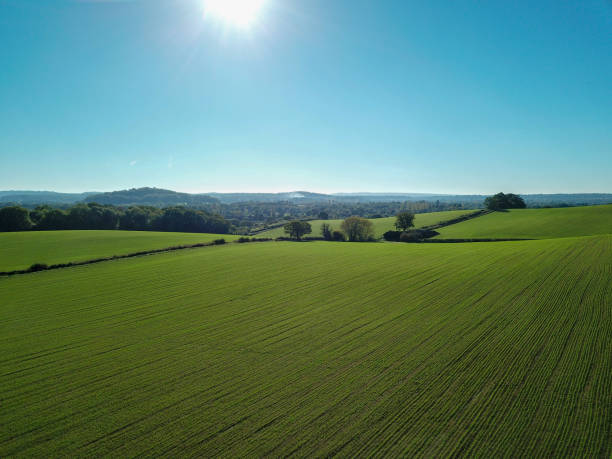 istock Green farm fields and blue sky in the spring 1224120028
