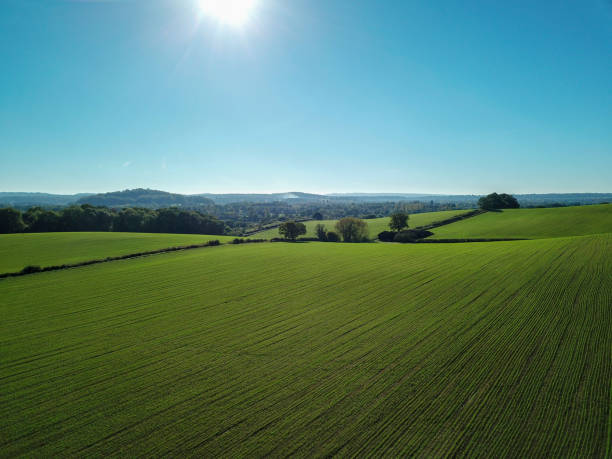 istock Green farm fields and blue sky in the spring 1224120186