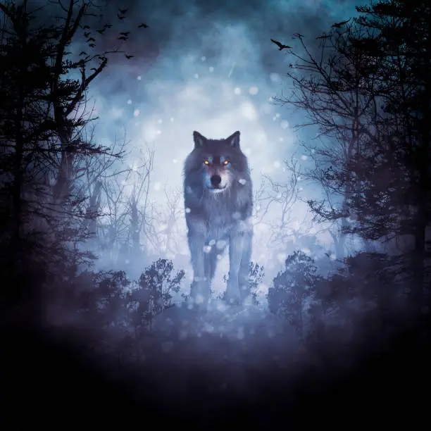 Wolf in a dark mysterious foggy forest,3d rendering