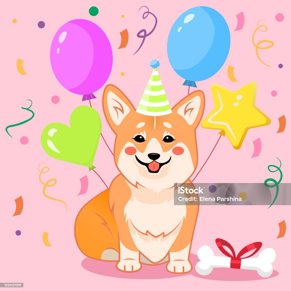 Chú Chó Corgi Ngồi Dễ Thương Chúc Mừng Sinh Nhật Với Mũ Tiệc Tùng ...