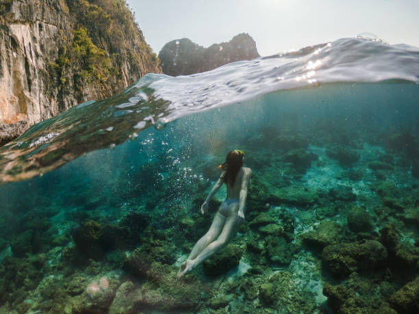 woman free diving  near koh phi phi island - phi phi islands imagens e fotografias de stock