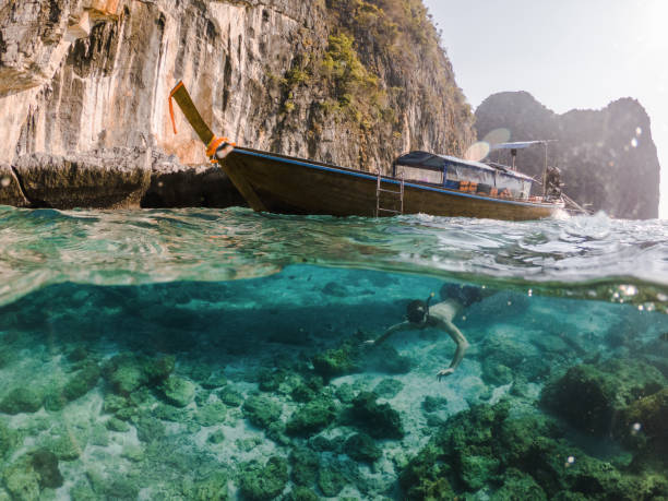 istock Man free diving  near Koh Phi Phi Island 1224125151