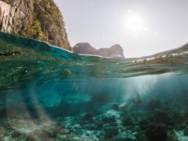 istock Man free diving  near Koh Phi Phi Island 1224125153