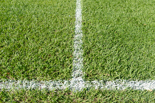 Demarcated lines of a football field
