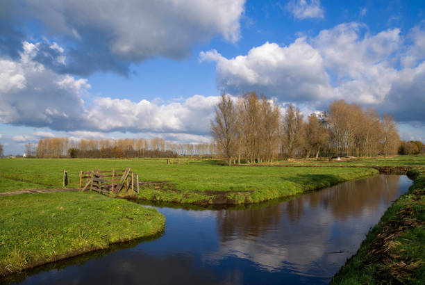 vista en el kraaienbos - alblasserwaard fotografías e imágenes de stock