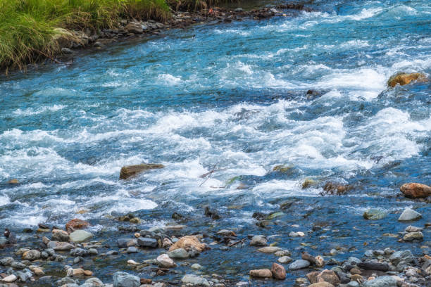 Free picture: river swirl, stream, creek, big rocks