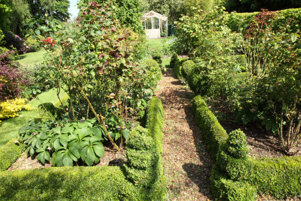 istock Roses topiary and glass house 1224125820