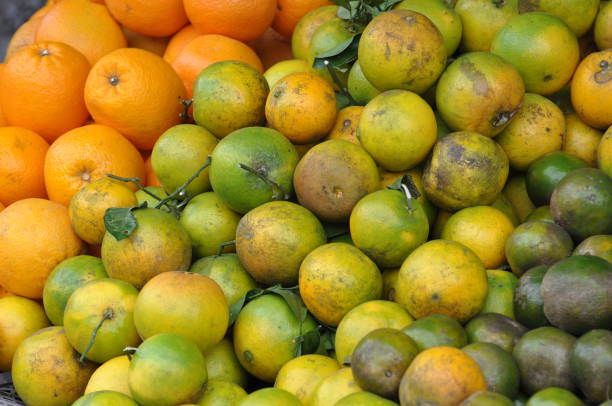 istock Fruits at the market 1224125845