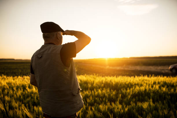 istock Senior farmer standing in field examining wheat crop during the sunset 1224126576