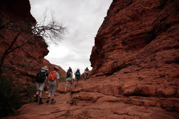 turistas haciendo senderismo en el parque nacional kings canyon en el centro de australia. - australian culture hiking australia people fotografías e imágenes de stock