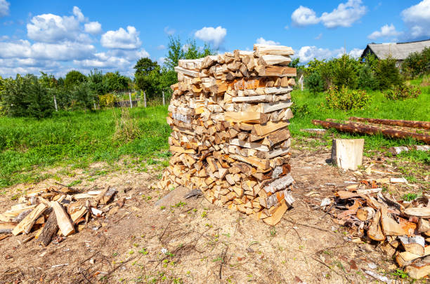 istock Chopped and stacked up dry birch firewood 1224128423