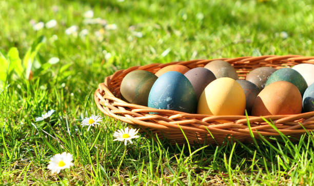 istock Naturally dyed Easter eggs in the basket on grass 1224130156