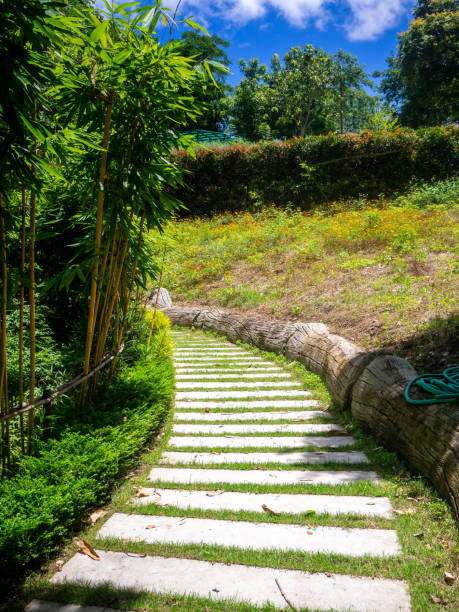 istock Beautiful pathway in a park in summer, Landscape with scenic winding footpath in sunlight. Stone overgrown path in sunny garden 1224130320