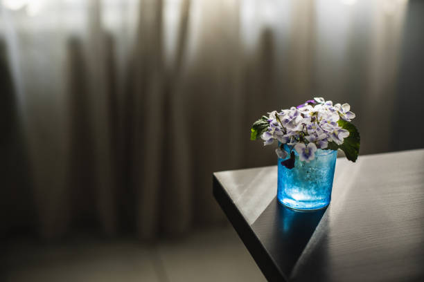 High angle view of blue translucent glass holding tiny violet flowers placed on a corner of a table to decorate home during long quarantine days.