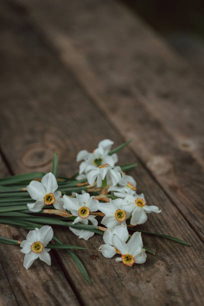 istock Bouquet of white narcissus 1224132061