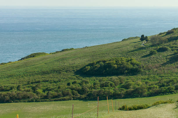 istock Lush green idyllic farmland 1224133314