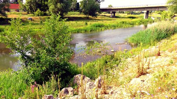 istock Bridge over the Crisul Repede river 1224135163