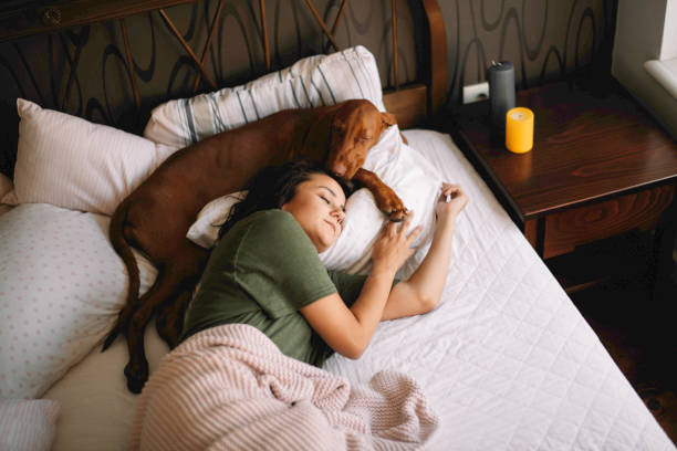 Beautiful girl lying on bed with dog.