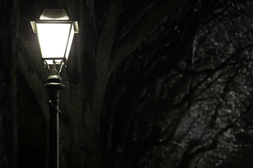 The ice is covering the street lamp in the winter park at night in Khimki, Moscow region, Russia.