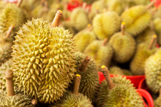 Stacked thai durian fruits in baskets