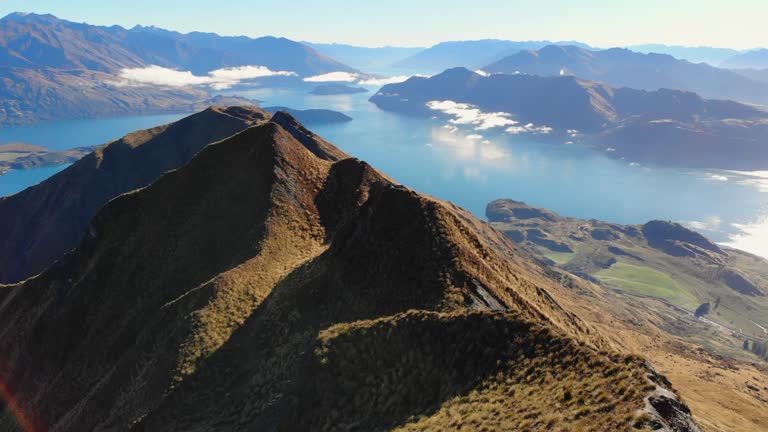 new zealand