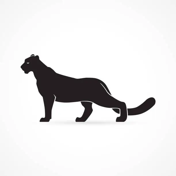 Vector illustration of black panther logo silhouette vector illustration on white background