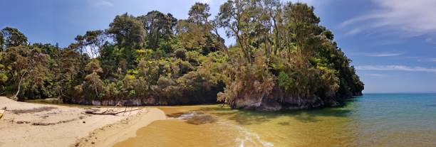 istock Remote beach at Abel Tasman N.P., New Zealand 1224147921