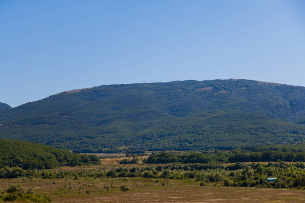 istock mountain landscape of mountains with forest and blue sky 1224149756