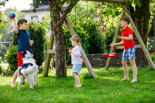 Two kids boys and little toddler girl playing with family dog in garden. Three children, adorable siblings having fun with dog. Happy family outdoors. Friendship between animal and kids.