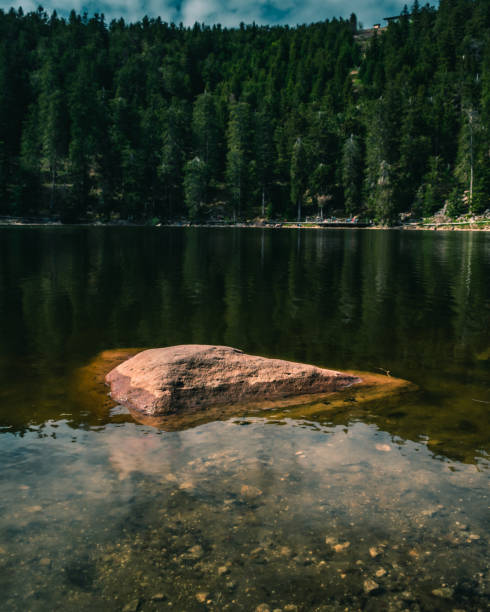 istock Rock in pineforrest lake 1224153074