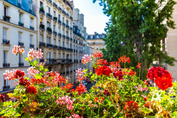 istock View from the room in Paris 1224153764