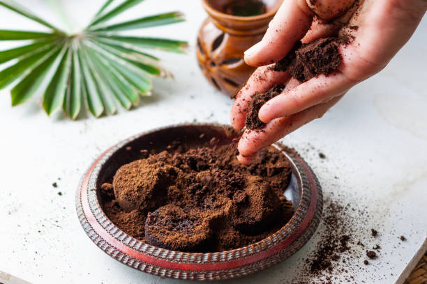 a mão da mulher despedaça o pó de café em uma tigela de madeira. borra de café usada como esfoliante corporal ou fertilizante para plantas. - tratamento botânico de spa - fotografias e filmes do acervo